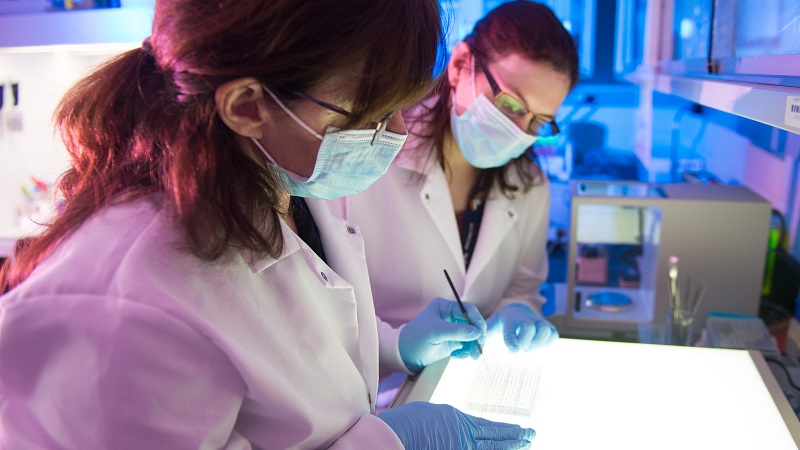 Walter Reed Army Institute of Research (WRAIR) > Biomedical Research ...